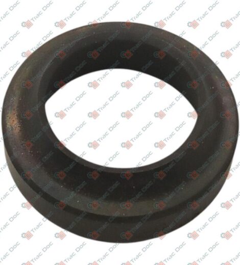 ANELLO RASCHIATORE DIAMETRO 20x30x7/10 mm. - GOLDONI - 06370547