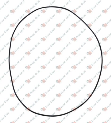 ANELLO OR - LANDINI - 378249X1