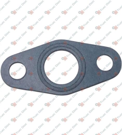 2-HOLE FLANGE SEAL - LANDINI - 6679713A1