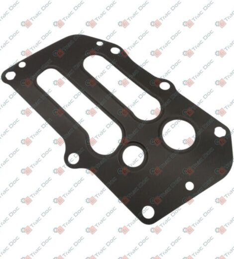 WATER - ENGINE OIL HEAT EXCHANGER GASKET - LANDINI - 6730100A1