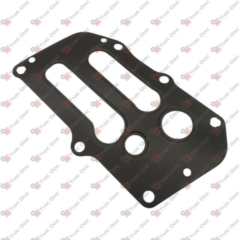 WATER - ENGINE OIL HEAT EXCHANGER GASKET - LANDINI - 6730100A1