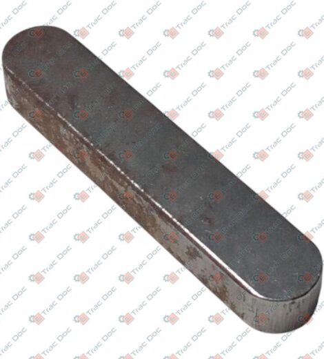 VALPADANA TONGUE ex 353262 - LANDINI - VP323562