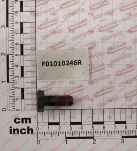 VITE M10x1,25x25 IN ACCIAIO R=10.9 - MASCHIO - F01010246R