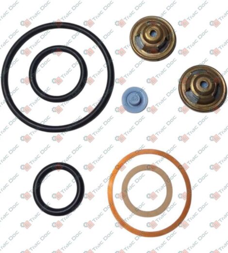 A/C PUMP OVERHAUL KIT 2.4519.330.0/50 - SAME - LAMBORGHINI - HURLIMANN - DEUTZ FAHR - 0.010.3888.1