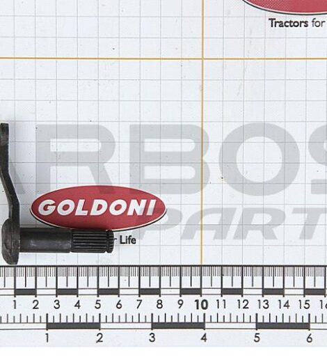 INTERNAL GEAR CHANGE LEVER - PTO - GOLDONI - 00014294