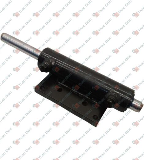 CILINDRO IDROGUIDA - GOLDONI - 00062001