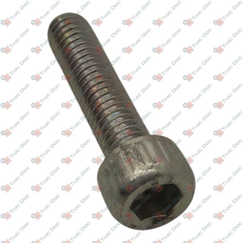 SCREW - LANDINI - 1442692X1
