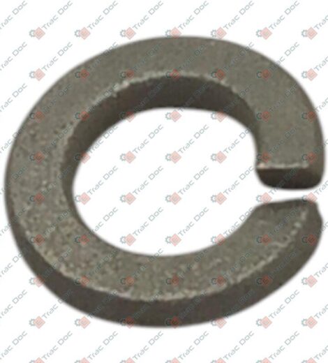 RONDELLA SPACCATA - LANDINI - 339375X1