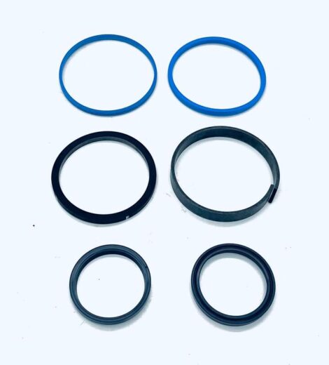 SERIE GUARNIZIONI - LANDINI - 6510294M91