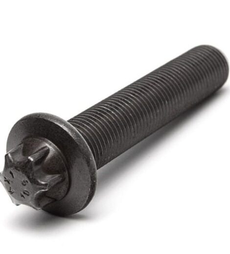 VITE SPECIALE - LANDINI - 6679853A1