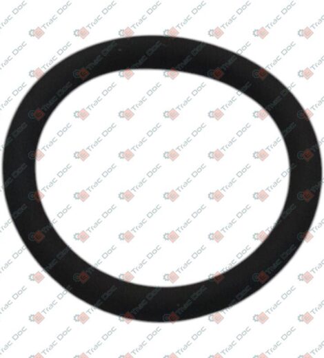 RING OR - SAME - LAMBORGHINI - HURLIMANN - DEUTZ FAHR - 2.1539.018.0