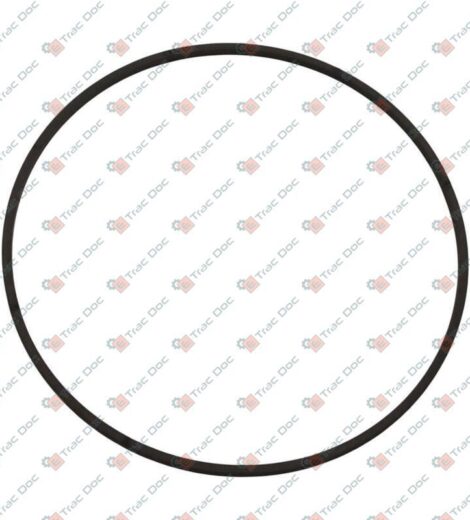 CRANKSHAFT SHOULDER RING DIAMETER 115x120x2.5 mm. - SAME - LAMBORGHINI - HURLIMANN - DEUTZ FAHR - 2.1599.404.0