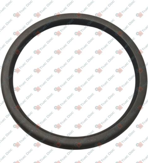 ANELLO TENUTA 50x58x4 DH - BCS - 58075662