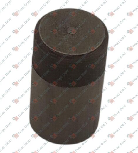 GRANO FISSAGGIO SNODO DIAMETRO 9x16 mm. - CNH Originale - 5125535