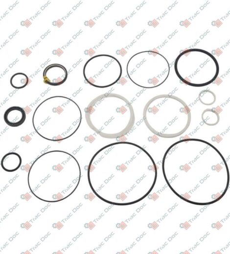 SERIE GUARNIZIONI IDROGUIDA CINOTTO - GOLDONI - 02060019