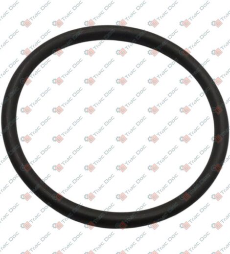 ANELLO OR - LANDINI - 1009654M1