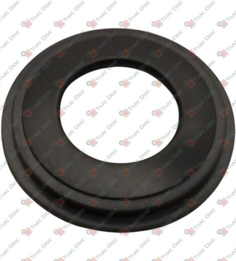 ANELLO DI TENUTA - Massey Ferguson - 3903459M1