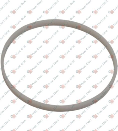 ANELLO DI TENUTA - Massey Ferguson - 3903464M1