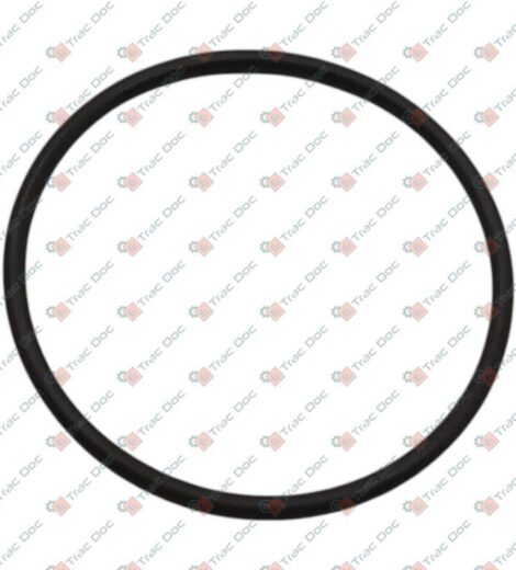 GUARNIZIONE - Massey Ferguson - 3903465M1