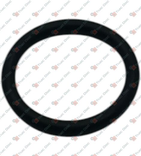 ANELLO OR NBR - CARRARO SPA - 28113