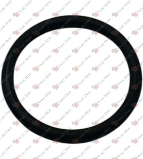 ANELLO OR NBR - CARRARO SPA - 28124