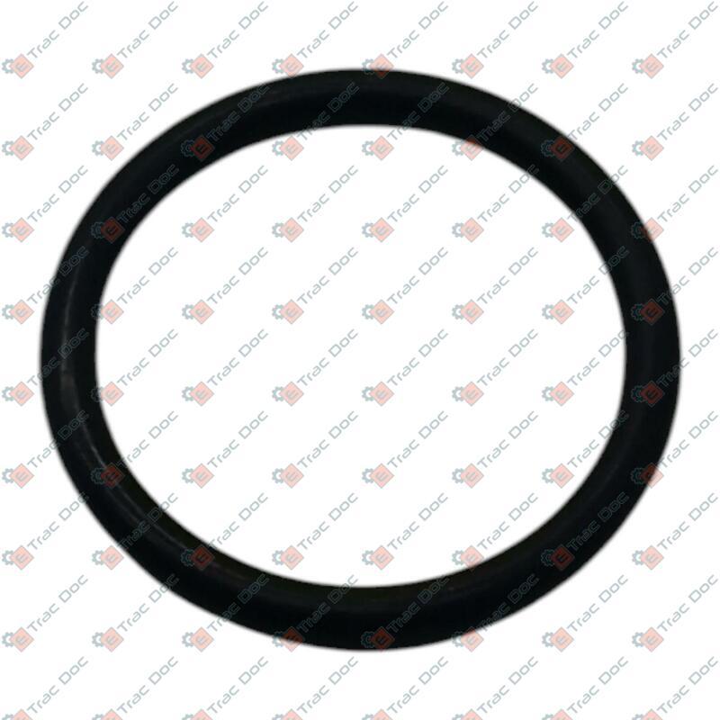 ANELLO OR NBR - CARRARO SPA - 28124