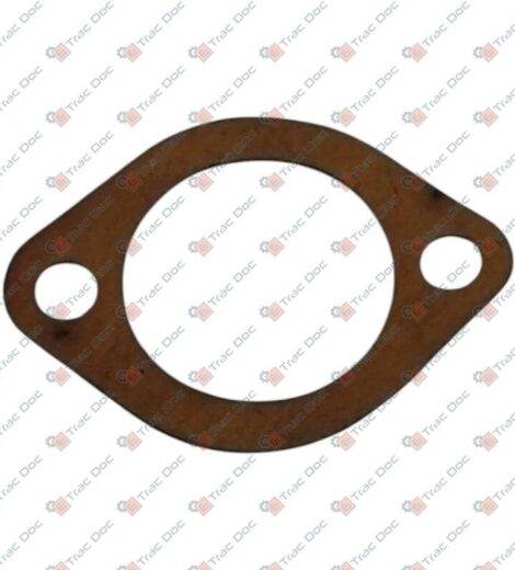 GUARNIZIONE COPERCHIO SOLLEVATORE - CARRARO SPA - 42506