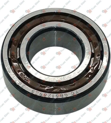 CYLINDRICAL ROLLER BEARING 30x62x20 - AFTERMARKET - 06200196