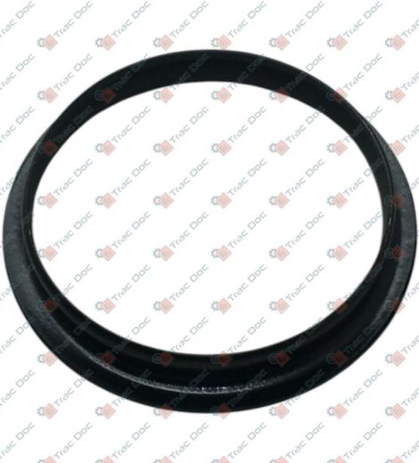 PUNTALE - Fendt - 205301081120