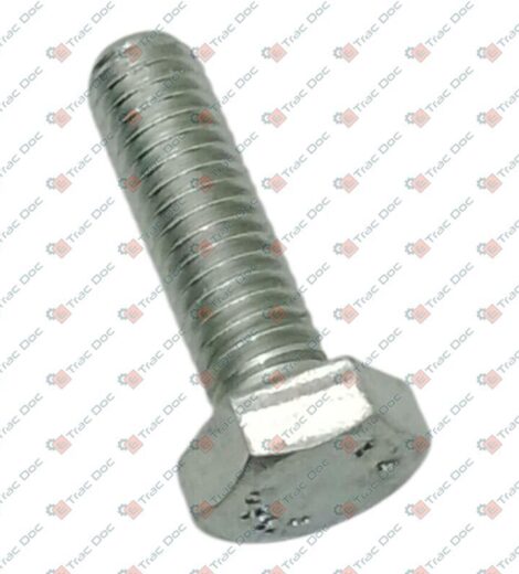 VITE M6x1x20 TESTA ESAGONALE - Fendt - X487520741000