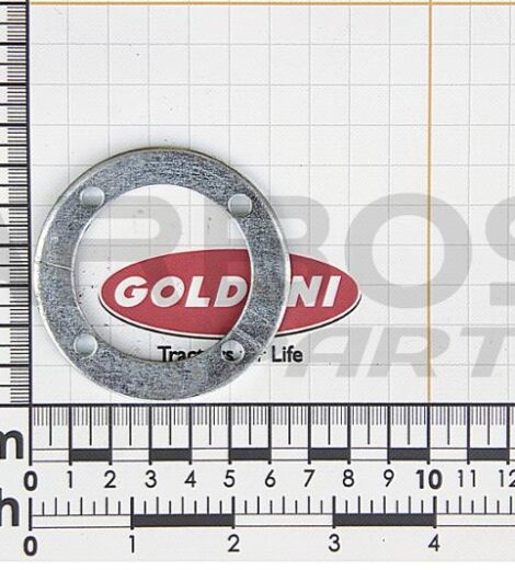 LAMIERINO FISSAGGIO CUFFIA LEVA DI COMANDO - GOLDONI - 00039319