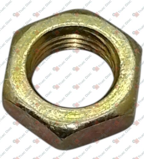 DADO M16x1,5 BASSO - GOLDONI - 06120061