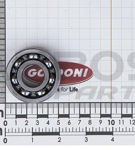 CUSCINETTO - GOLDONI - 06200024