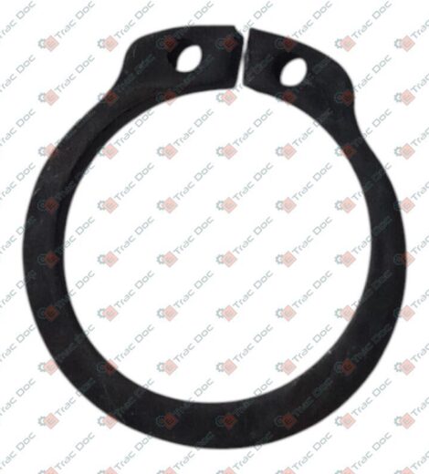 ANELLO ELASTICO SEEGER PER ALBERI - GOLDONI - 06240049