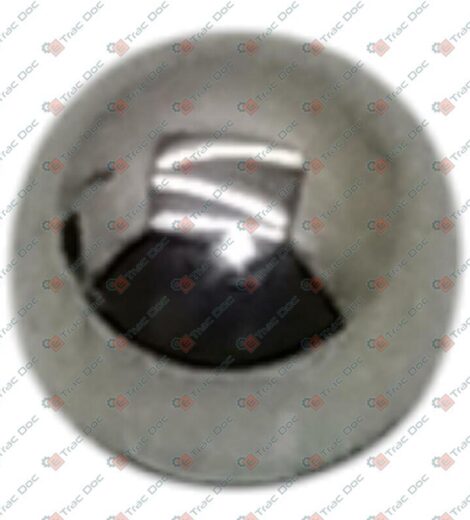 STEEL BALL DIAMETER 1/4" = 6.35 mm. - GOLDONI - 06330203