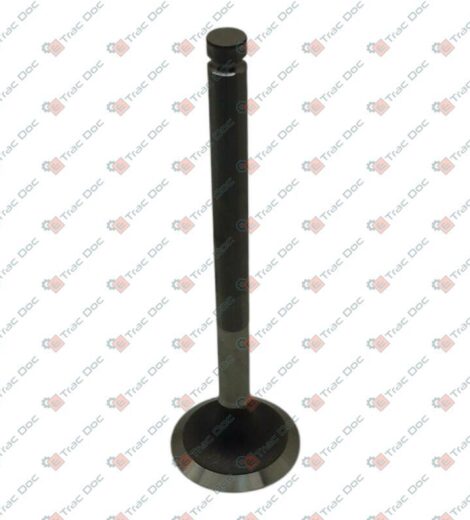 VALVE - LANDINI - 6676597A1