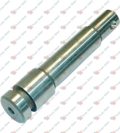 VALPADANA PIN - LANDINI - VP106282