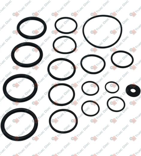 KIT ANELLI OR POMPA AR 50 - ANNOVI & REVERBERI - 1919