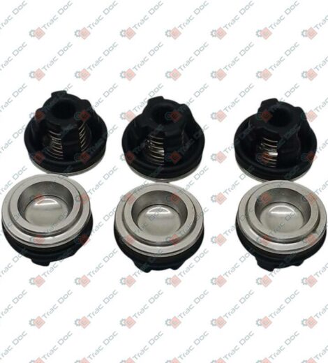 KIT 6 VALVOLE POMPE AR 603 - 703 - 713 - 803 - 813 - BH 800 - 800 S - ANNOVI & REVERBERI - 1963