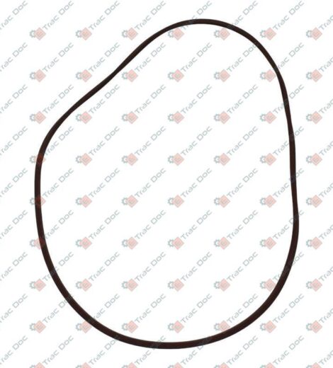 GUARNIZIONE INTERNA FRENO 3,4x210,8 - CERMAG - 16239