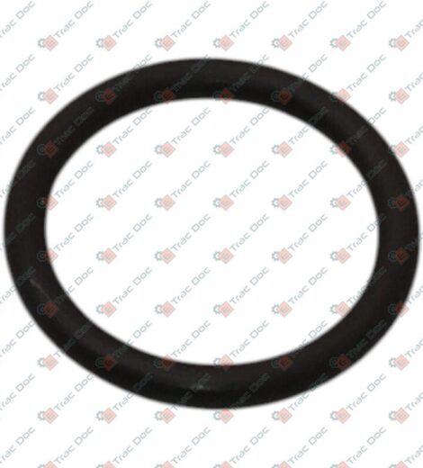 ANELLO OR DIAMETRO 17,86x2,62 mm. ANNOVI REVERBERI - CERMAG - 919434