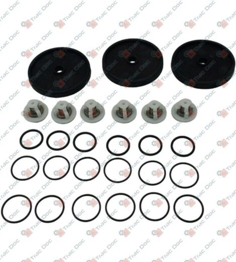 KIT MANUTENZIONE POMPE COMET APS31 E APS41 - CERMAG - 920134