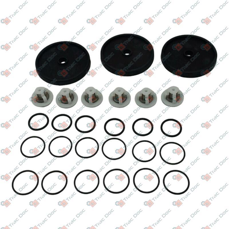 KIT MANUTENZIONE POMPE COMET APS31 E APS41 - CERMAG - 920134