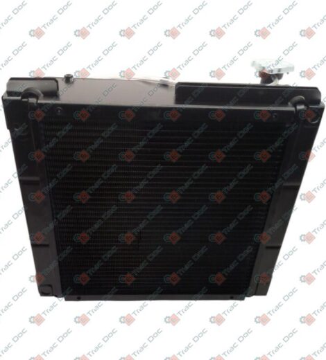 RADIATORE ACQUA MOTORE - ANTONIO CARRARO - 47921007