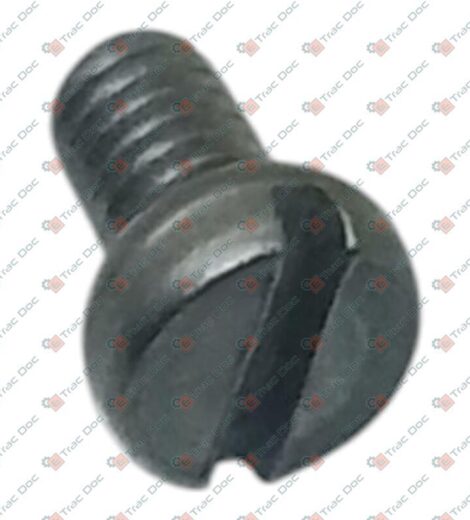 VITE M4x6 - Fendt - X461717303000