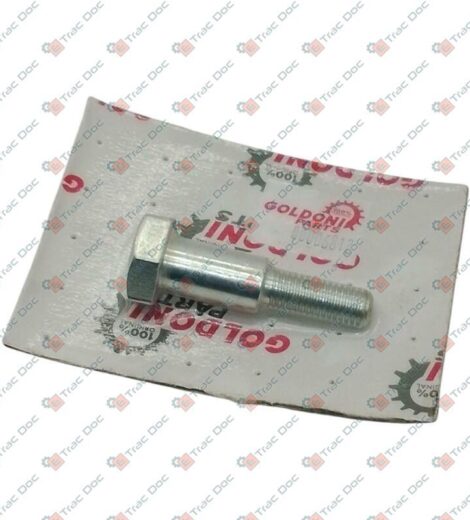 VITE FULCRO PEDALE ACCELERATORE - GOLDONI - 00006812