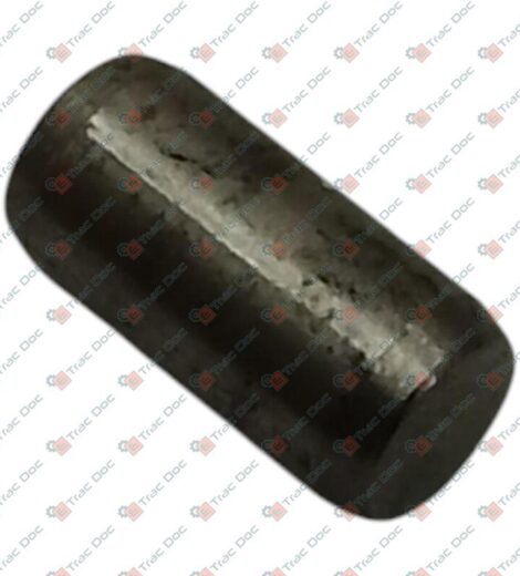 PIN DIAMETER 10x20 mm. - GOLDONI - 00010961