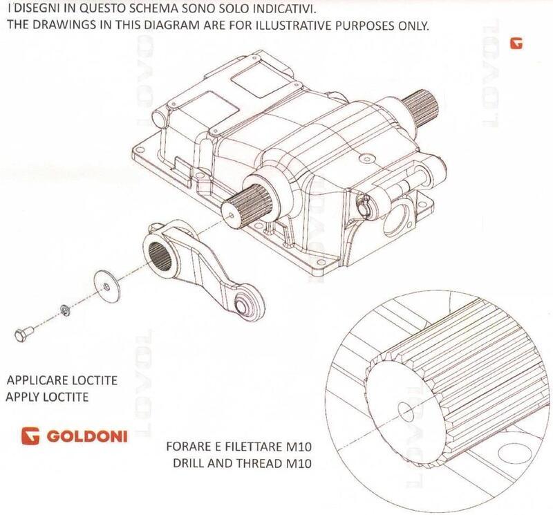 BRACCIO SUPERIORE SOLLEVATORE DESTRO - SINISTRO - GOLDONI - 00016615 - immagine 2