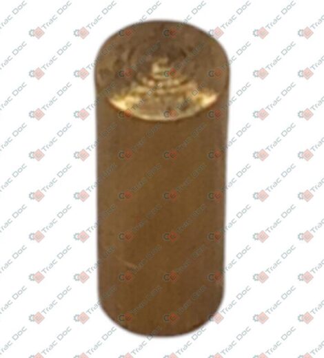 TERMINALE COPRICAVO DIAMETRO 3 mm. - GOLDONI - 06340359