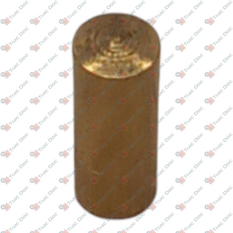 TERMINALE COPRICAVO DIAMETRO 3 mm. - GOLDONI - 06340359